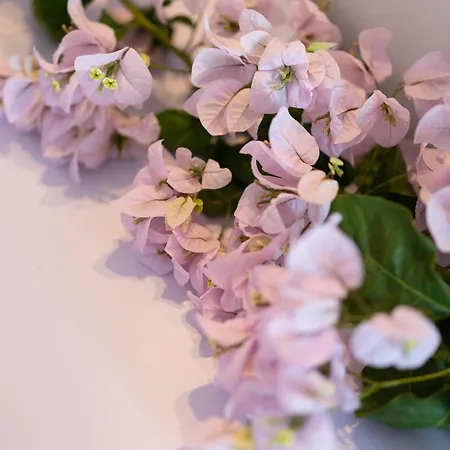 Aparthotel Blue Maisonettes 3*