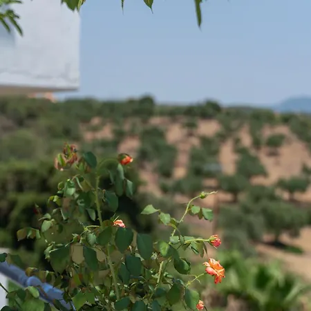 Aparthotel Blue Maisonettes Kamaria (Messinia)