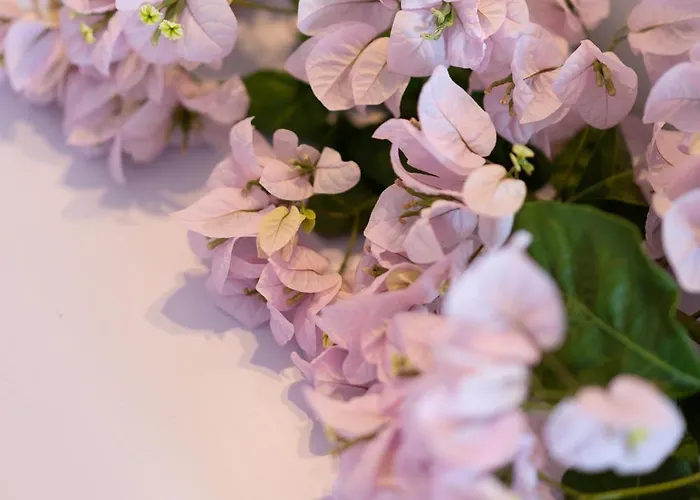 Apartmanhotel Blue Maisonettes 3*