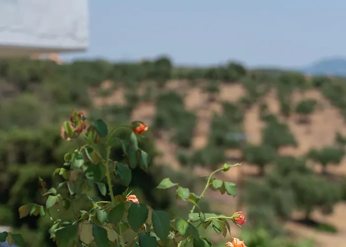 公寓式酒店 Blue Maisonettes Kamária